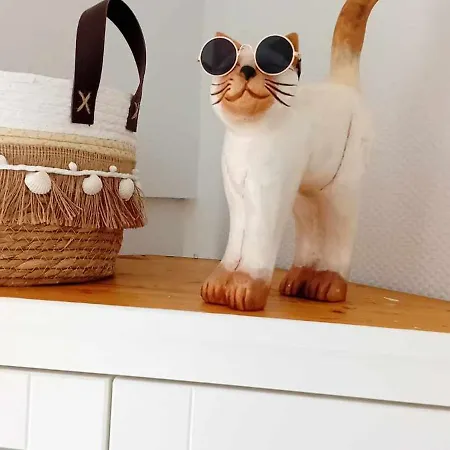 Enjoy Willa Wenduine